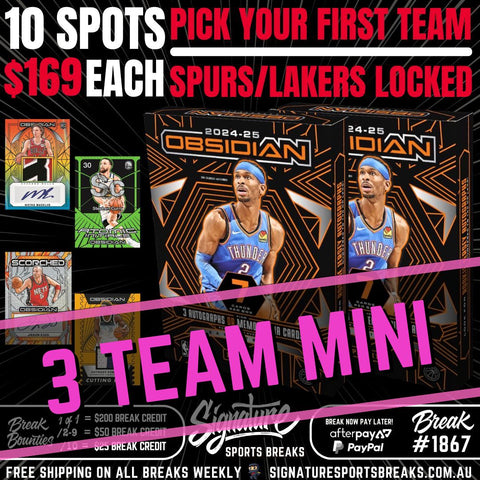 3 TEAM MINI 1867 - SECOND LOT